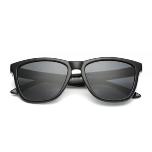 Lunettes de soleil polarisées Famous Noir lunettes