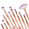 Pinceaux coquillage (x10) pinceaux